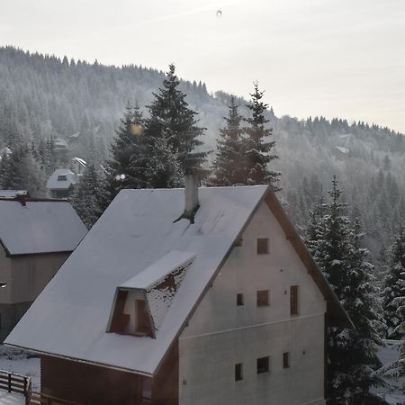 Vila Irina Kopaonik Exterior photo